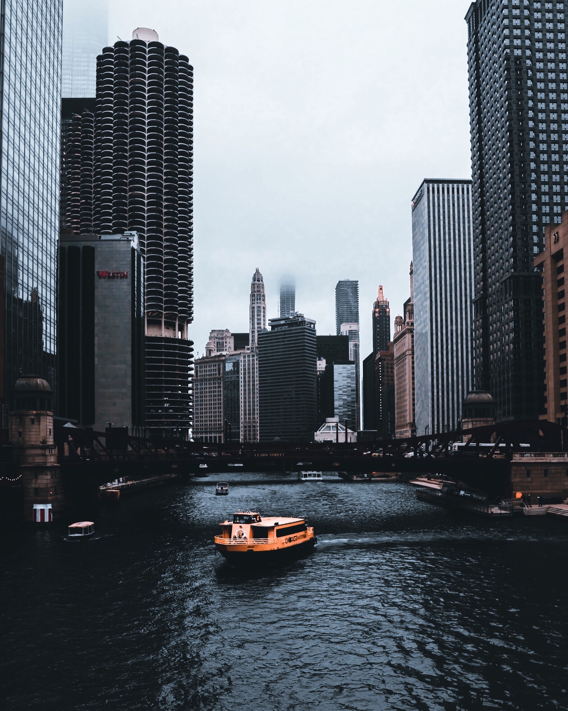 architectural-design-architecture-bridge-2609062